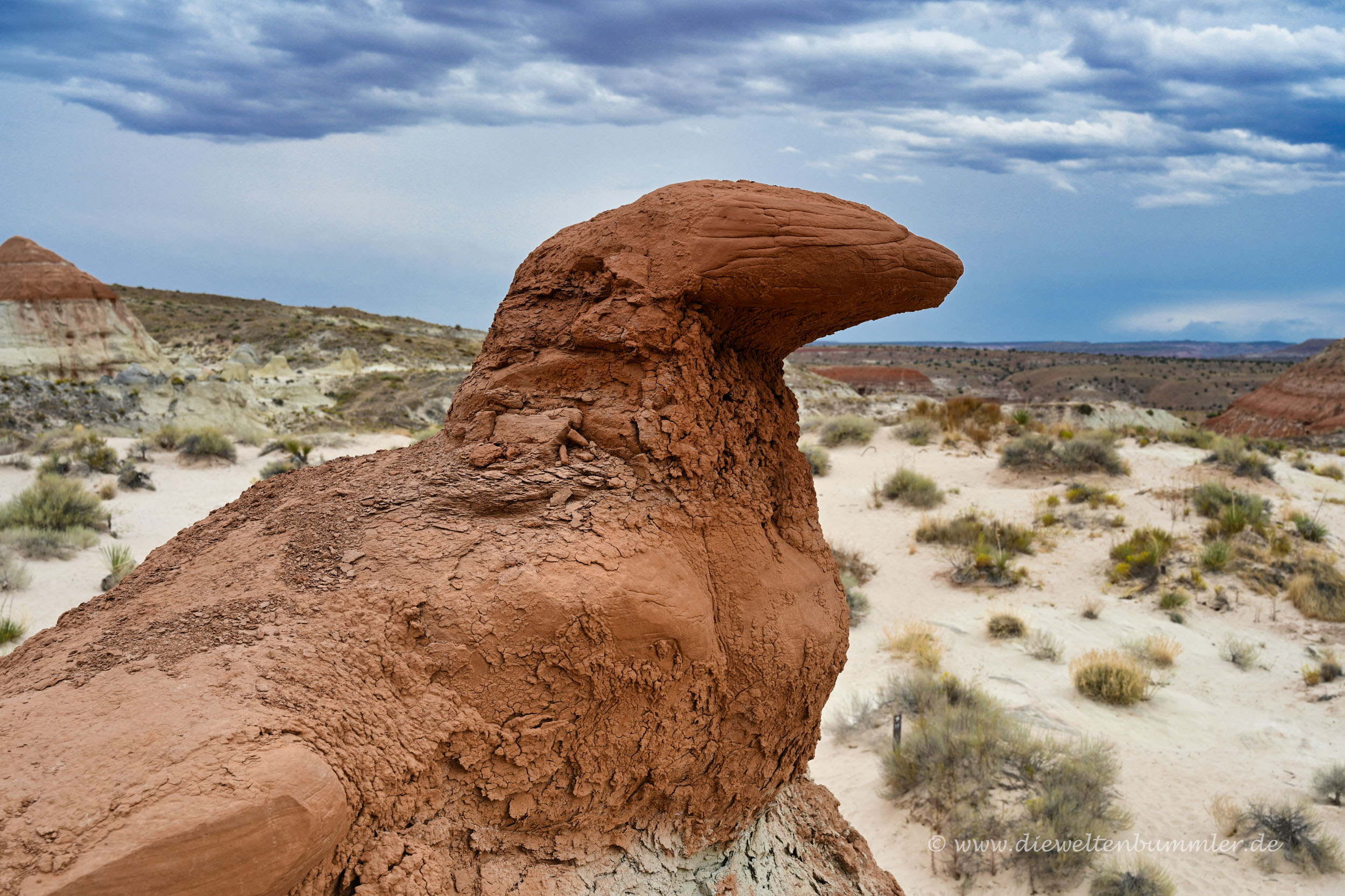 Sieht aus wie ein Vogel
