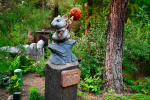 Unterwegs im Redwood Creek