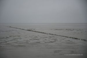 Wattenmeer