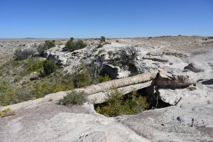 Agate Bridge