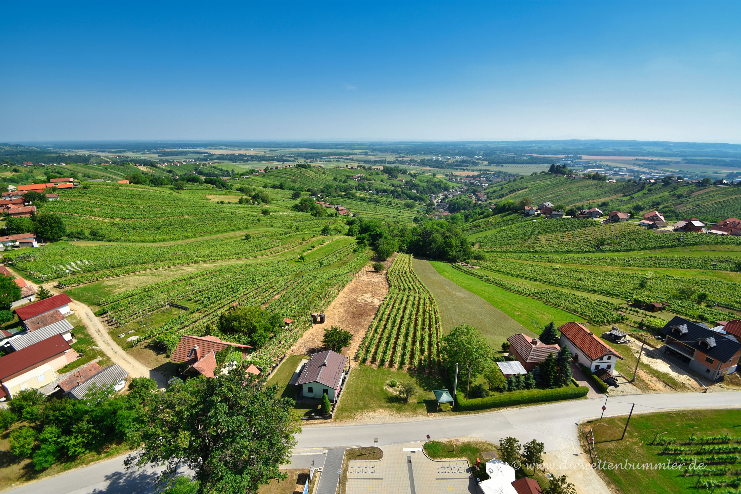 Ausblick über das Weinanbaugebiet