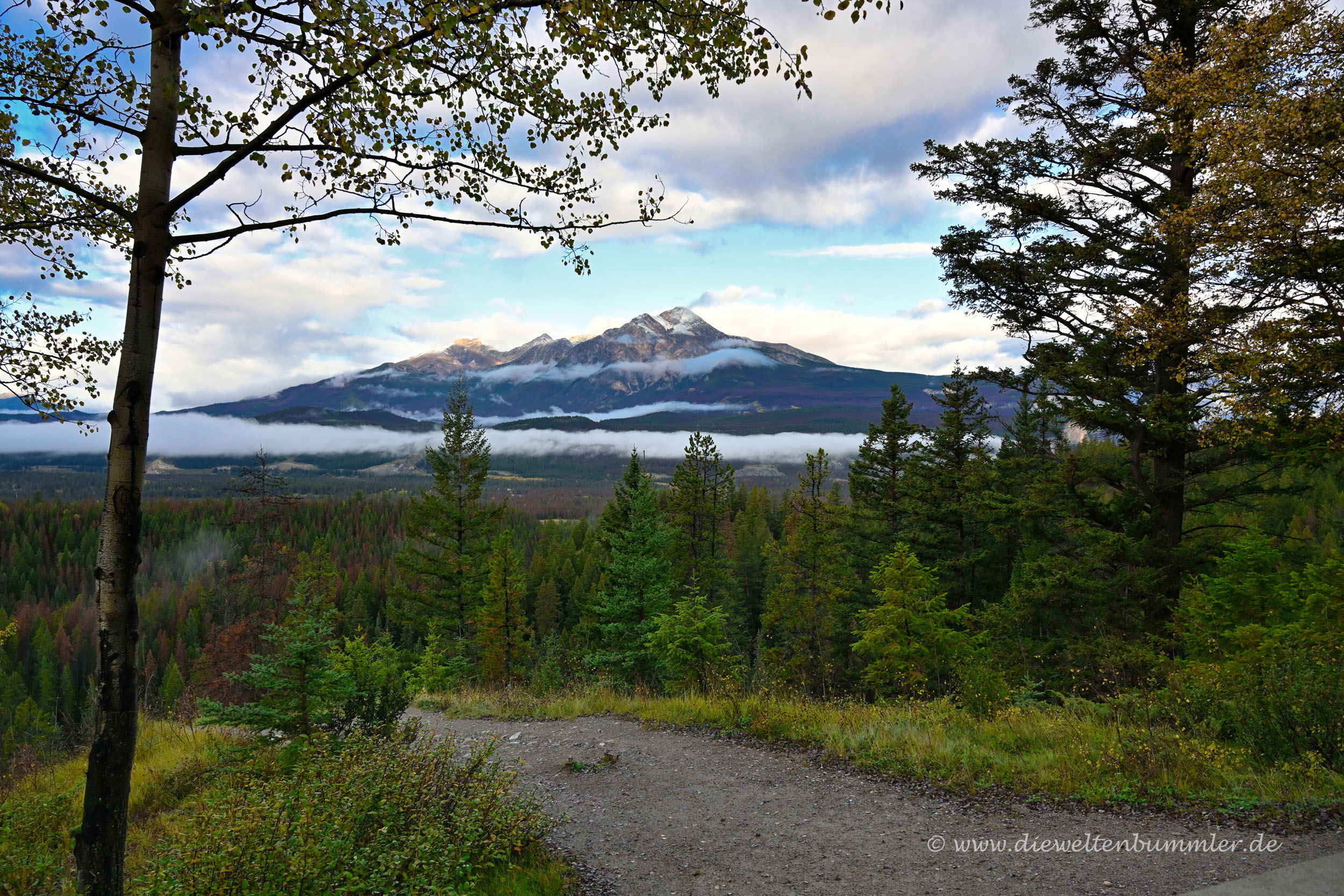 Aussicht vom Maligne Overlook