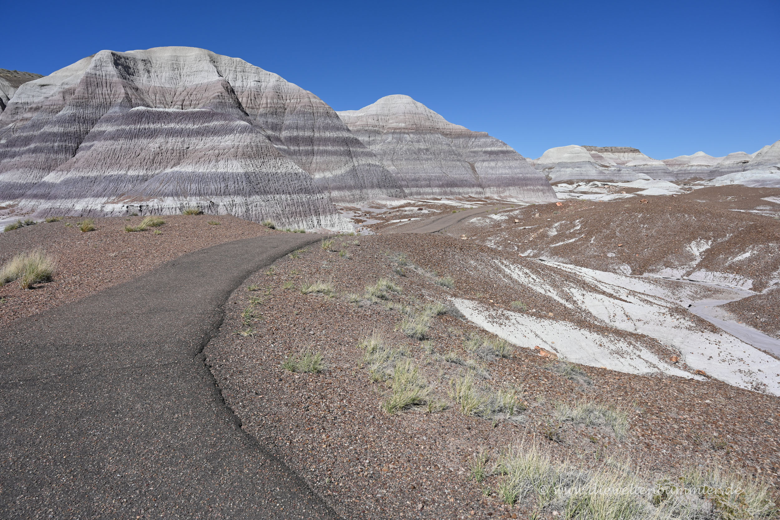 Blue Mesa im Nationalpark