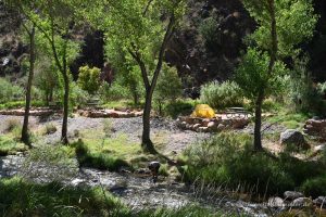 Bright Angel Campground