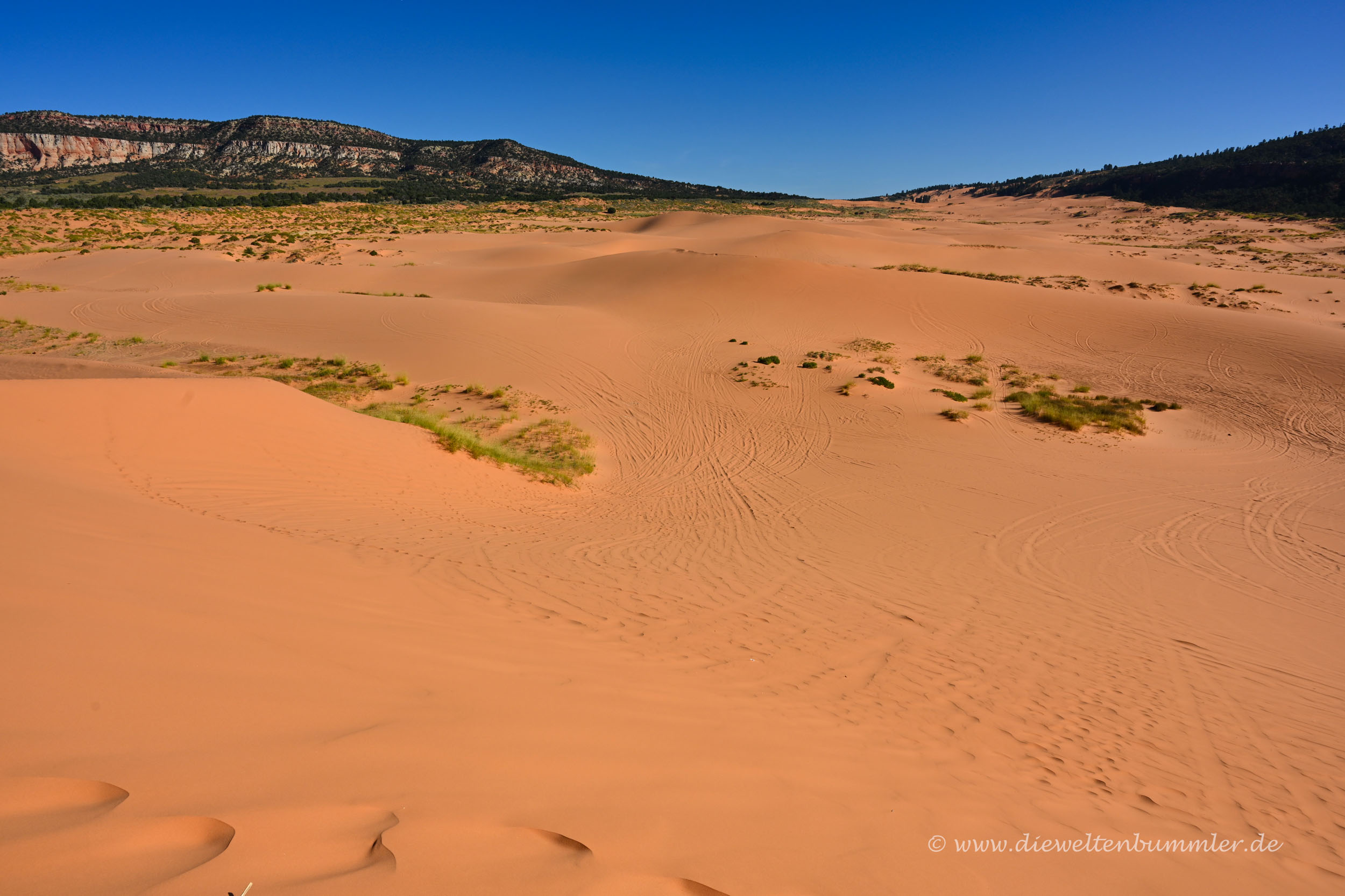 Coral Pink Sand Dunes