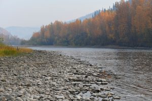 Der Klondike River