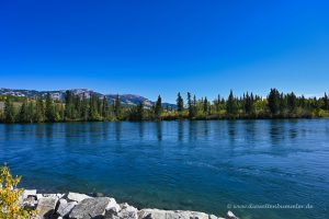 Der Yukon bei Whitehorse