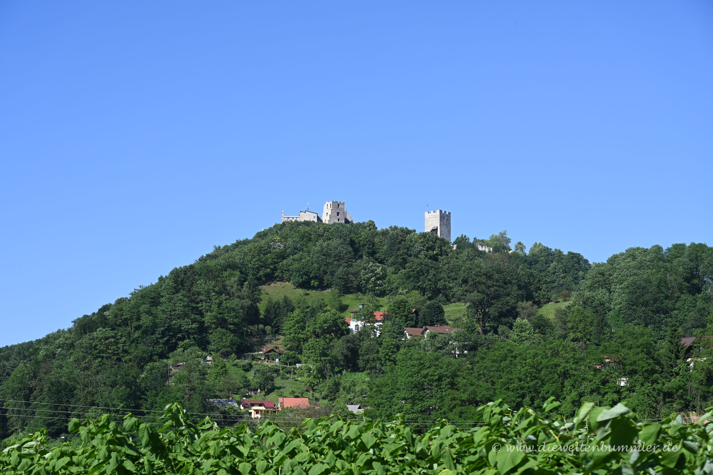 Die Burg Celje aus der Ferne