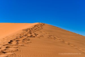 Düne in Utah