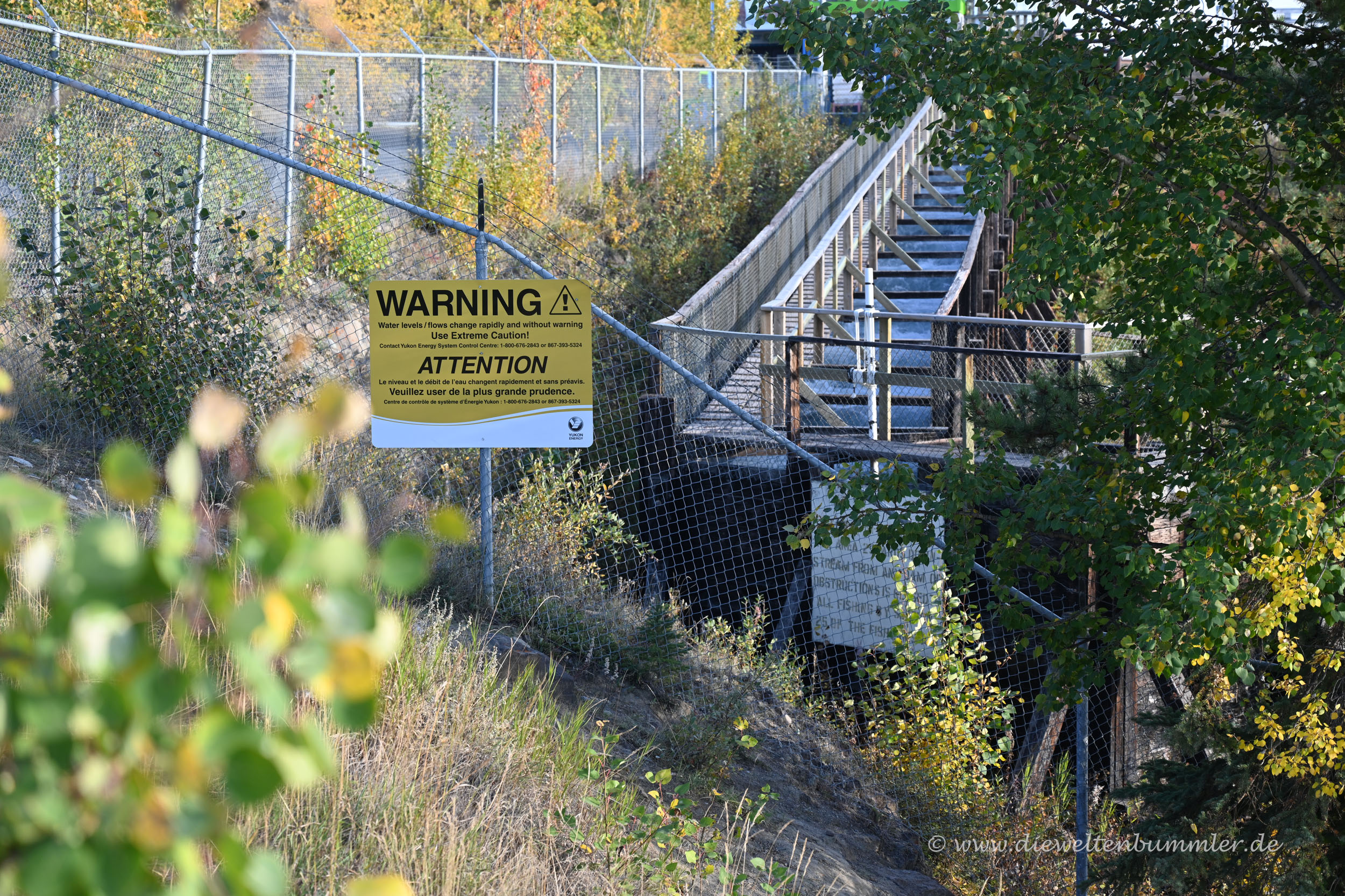 Fischtreppe am Yukon
