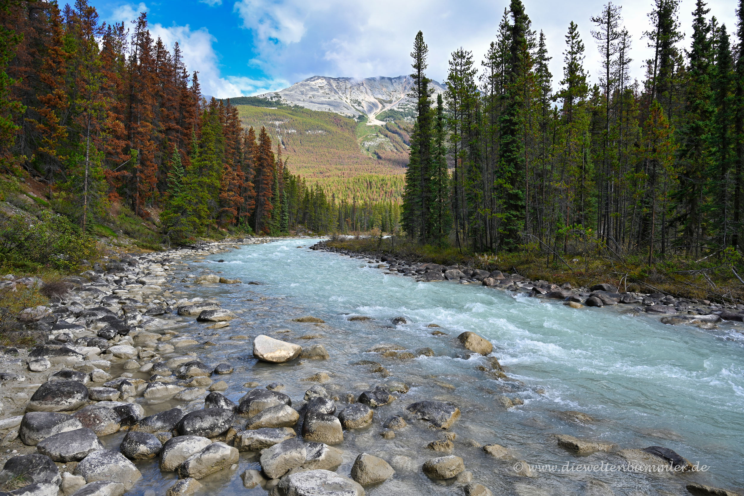 Fluss an den Sunwapta Falls Die Weltenbummler