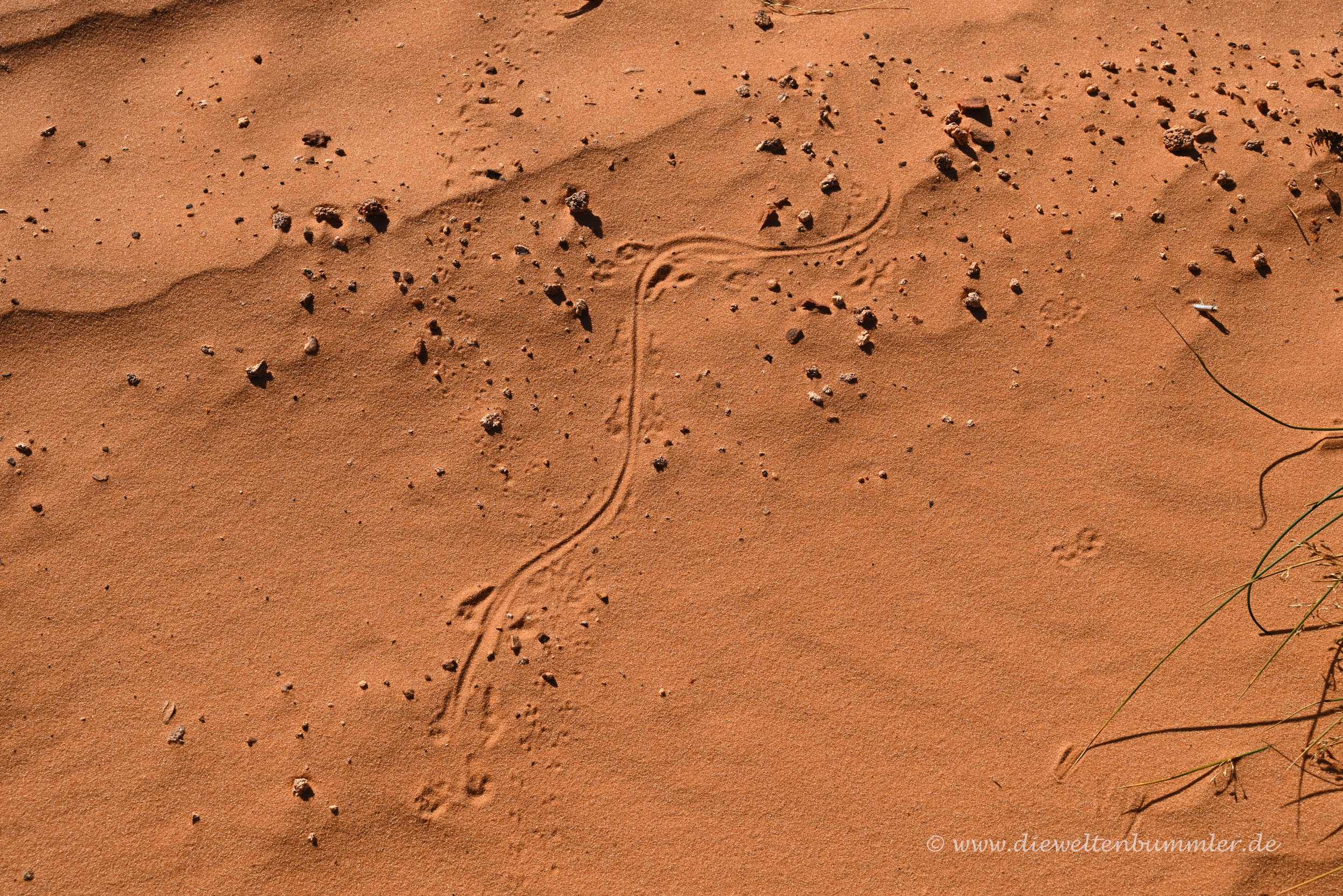 Fußspuren im Sand