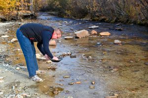 Goldsuche am Bonanza Creek