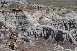 Im Petrified Forest Nationalpark