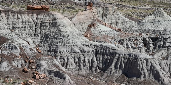 Im Petrified Forest Nationalpark