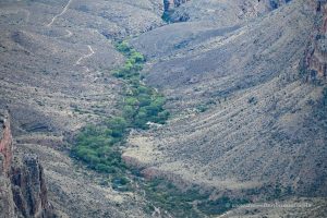 Indian Garden Campground