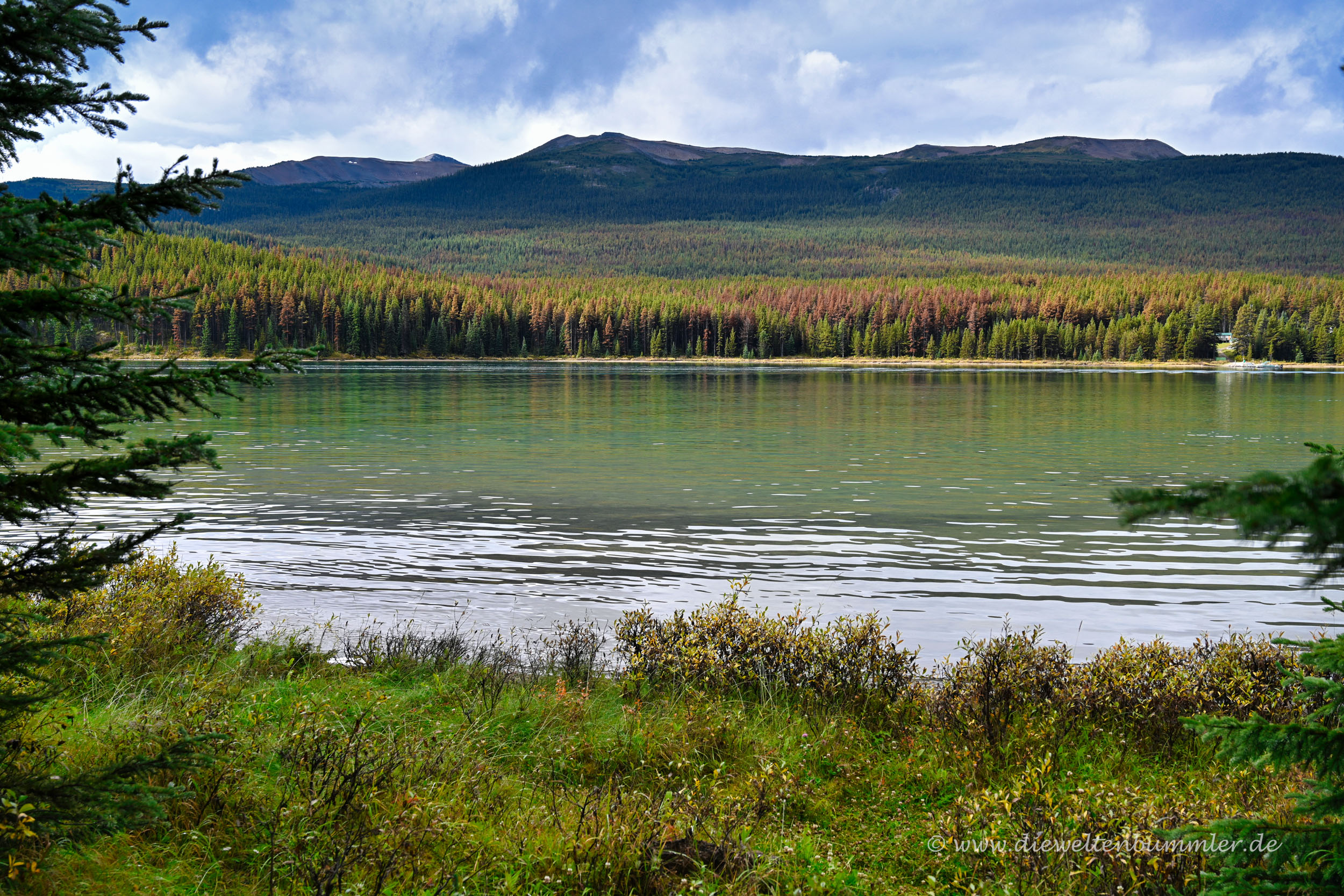 Maligne Lake im Jasper Nationalpark
