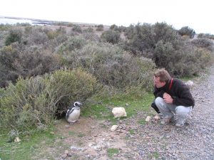 Michael Moll mit Pinguin