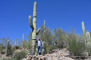 Michael Moll mit Saguaro-Kaktus
