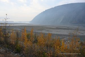 Mündung des Klondike in den Yukon