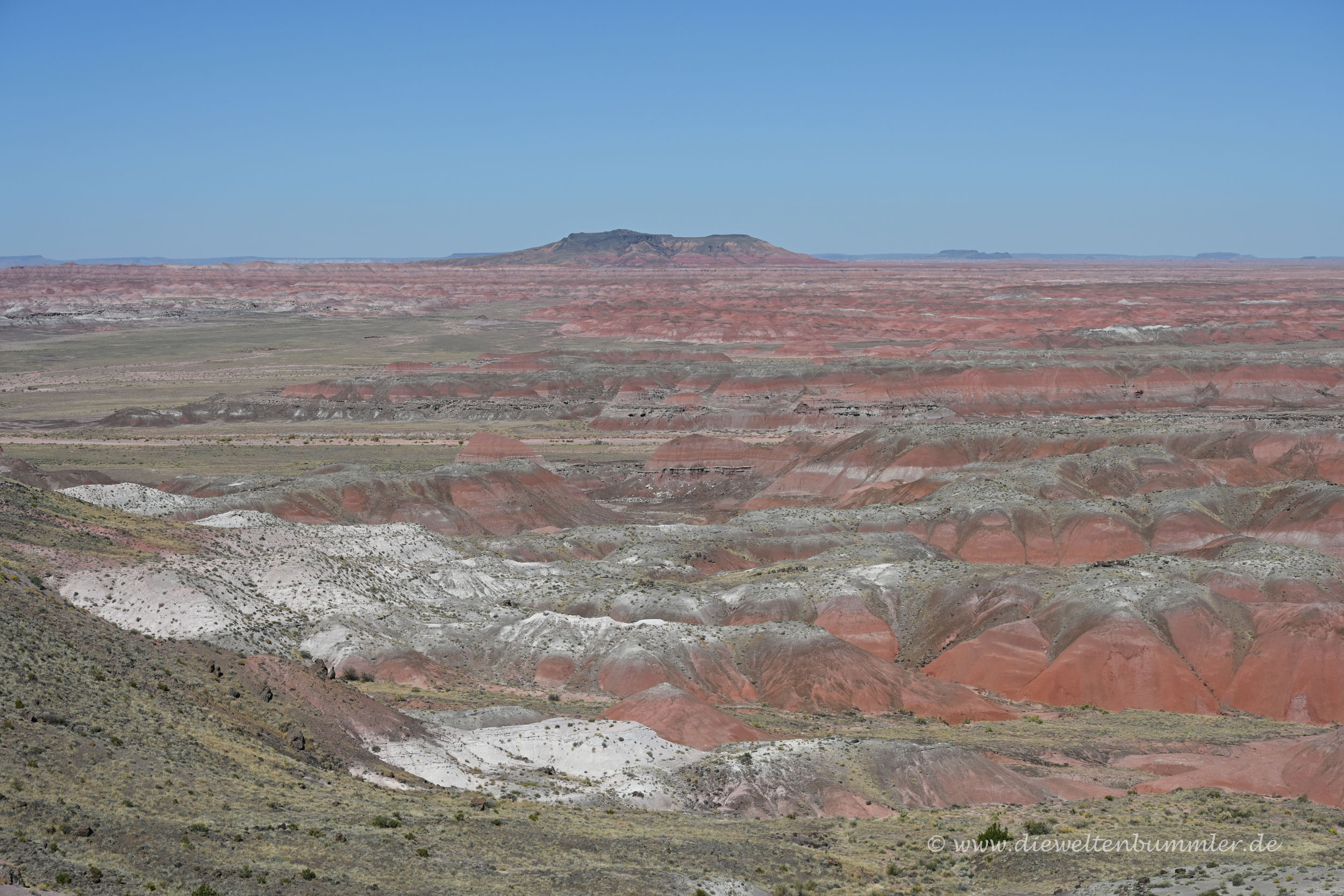 Petrified Forest Nationalpark