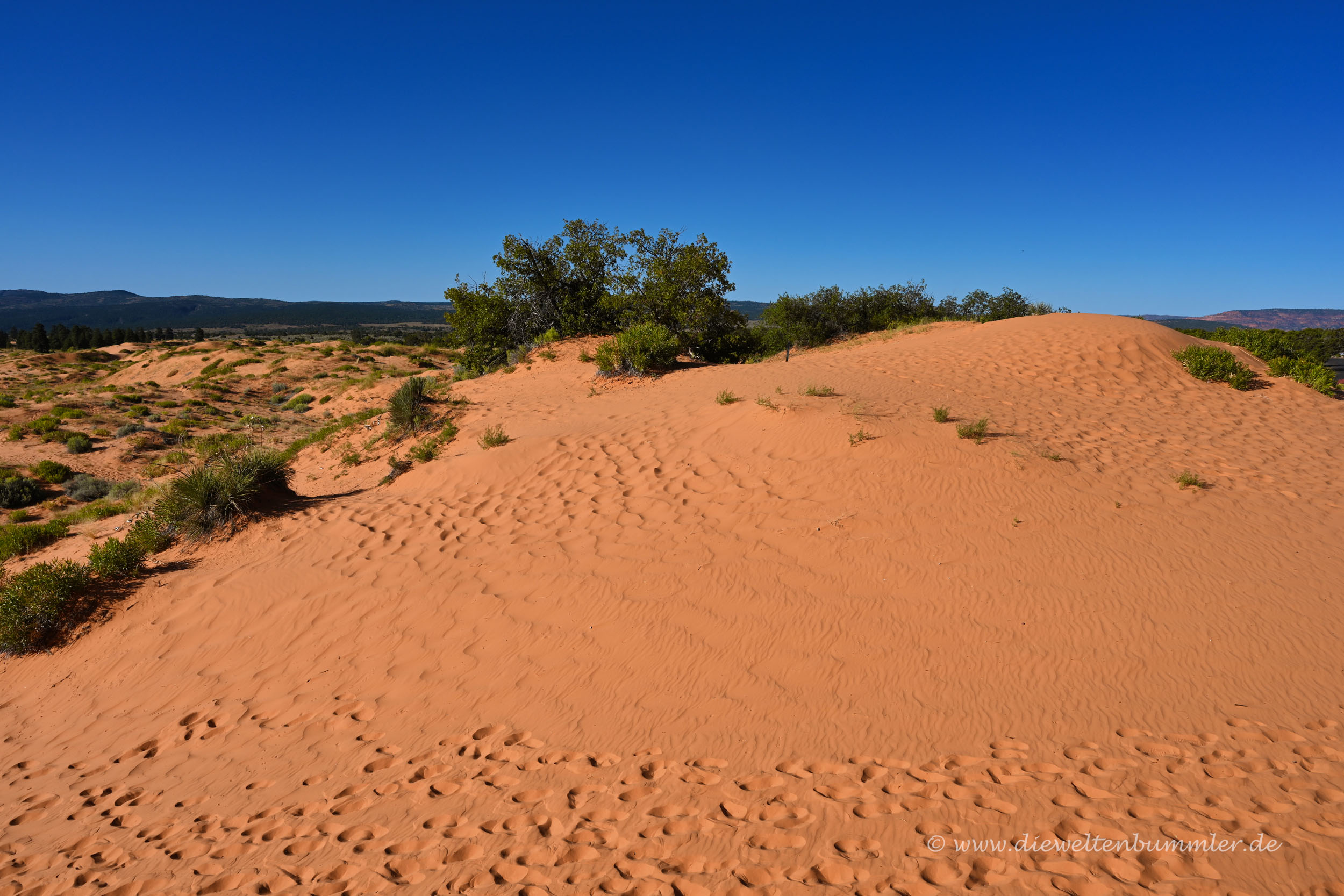 State Park mit Sanddünen