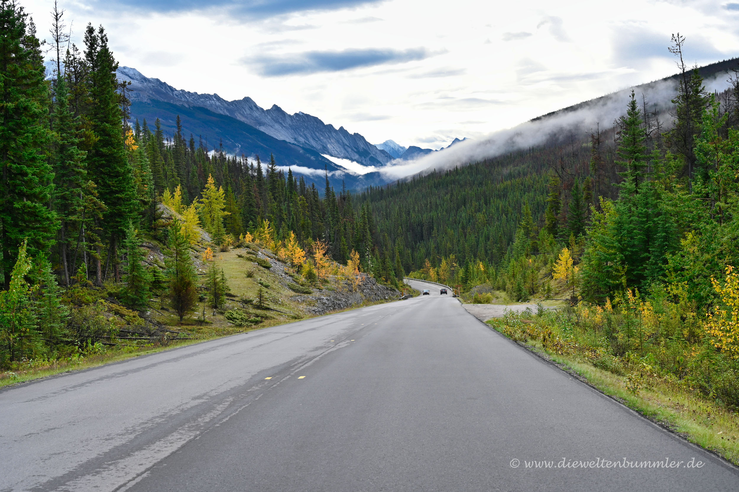 Straße zum Medicine Lake