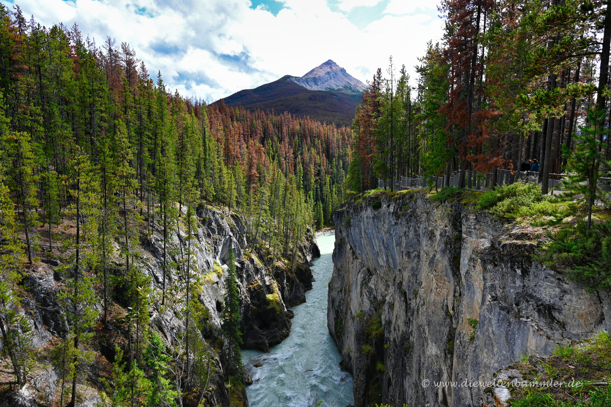 Sunwapta Falls