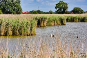 Vogelbeobachtung bei Greetsiel