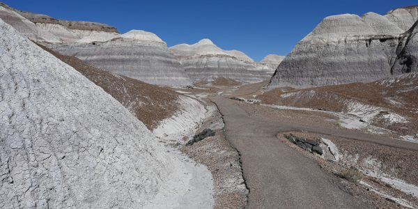 Wanderweg in Blue Mesa