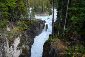 Weiterer Wasserfall - Sunwapta Falls