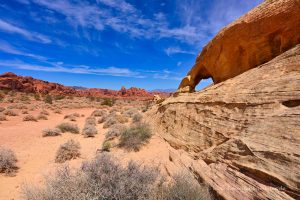 Bizarre Felsen