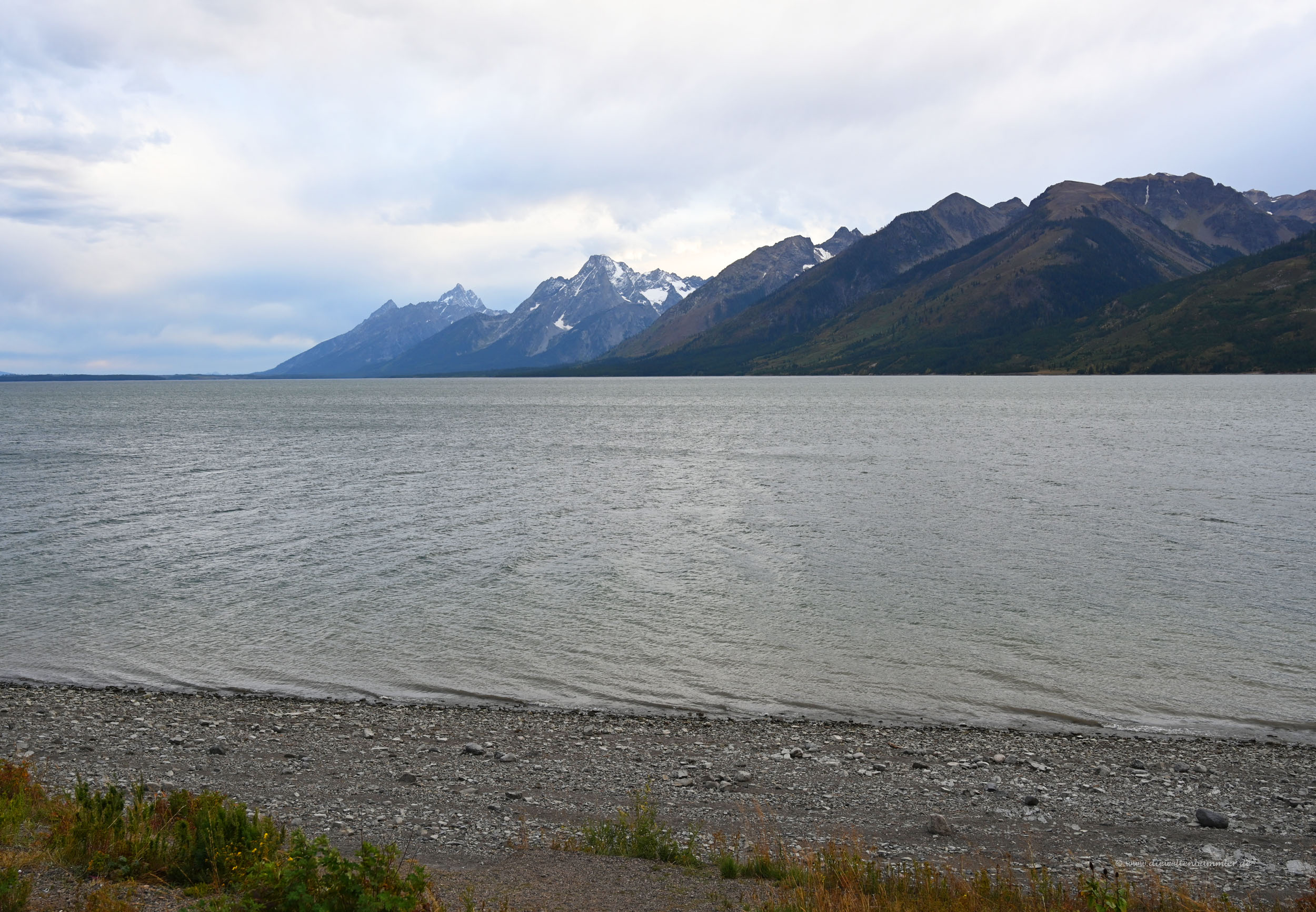 Der Jackson Lake im Nationalpark