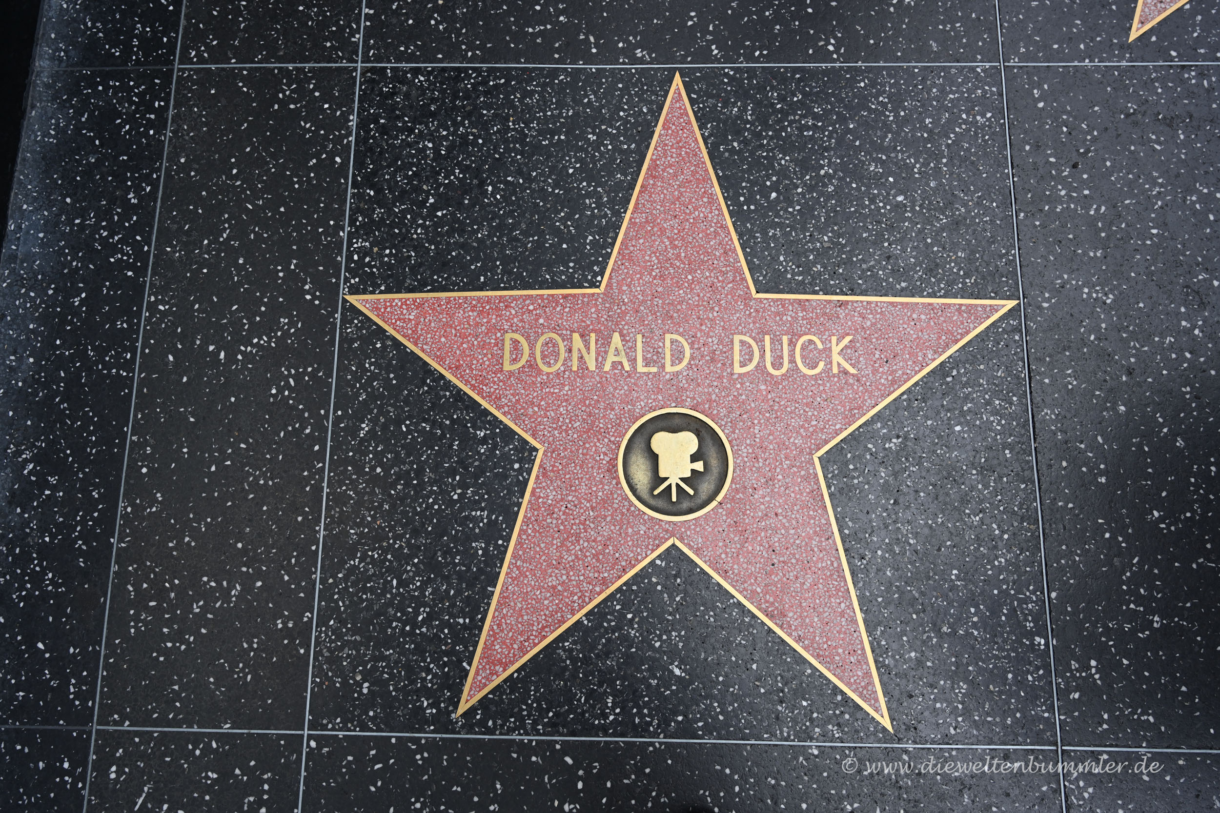 Donald Duck auf dem Walk of Fame