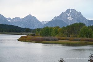 Jackson Lake und Berge