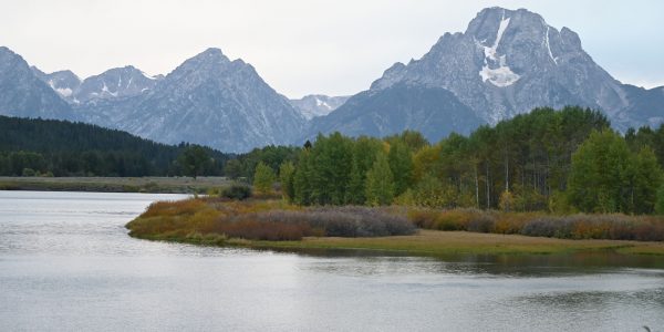 Jackson Lake und Berge
