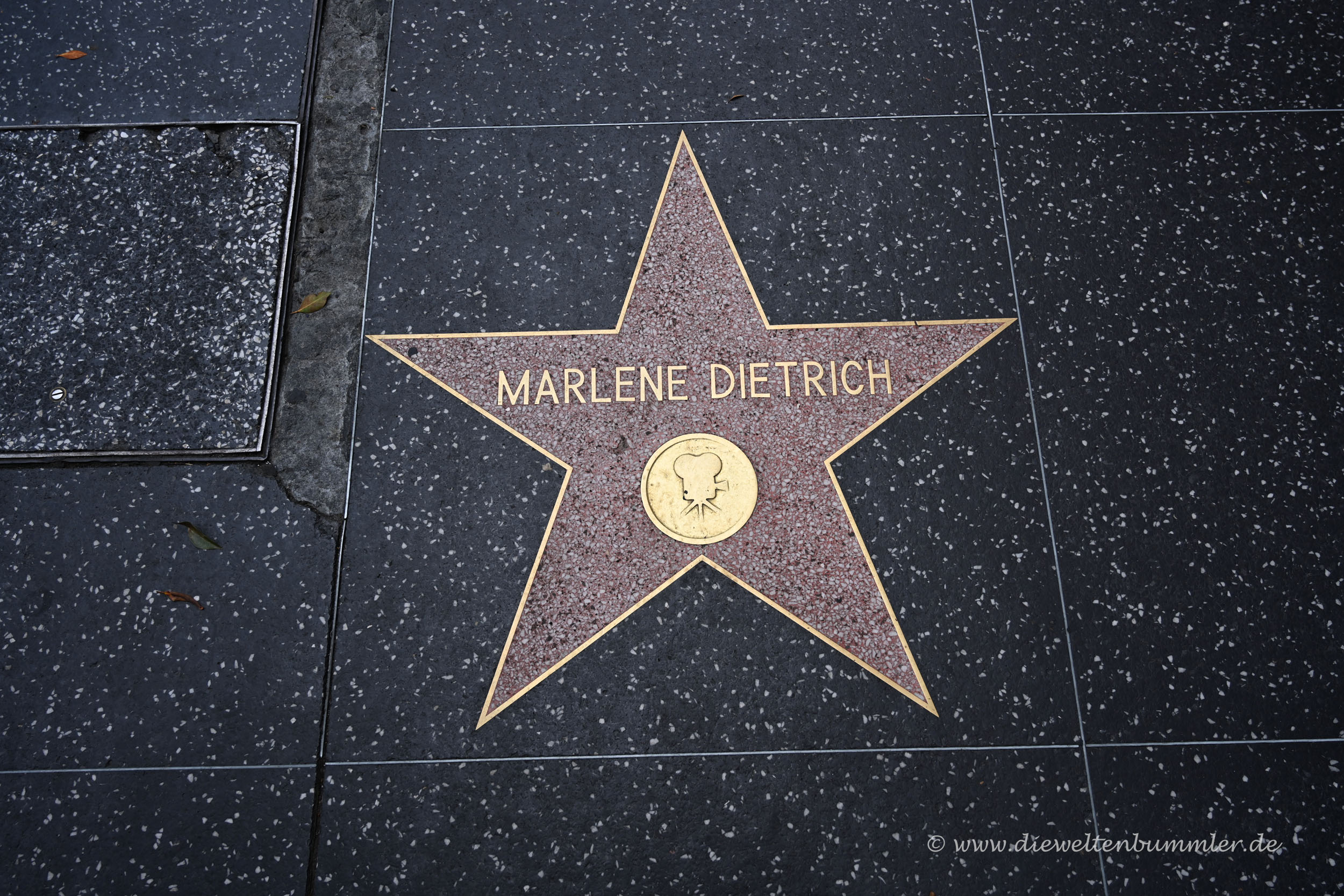 Marlene Dietrich