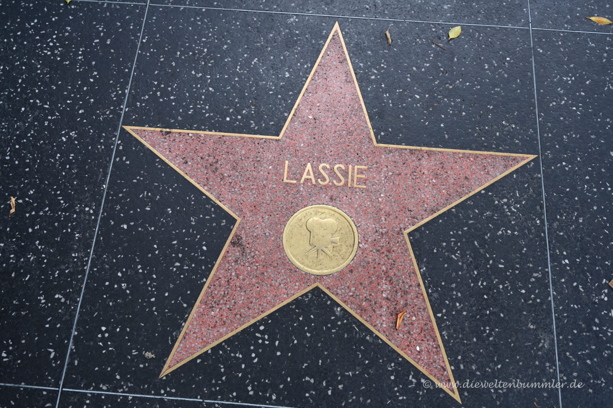 Walk Of Fame Sterne Liste Die vielen Sterne auf dem Walk of Fame - Die Weltenbummler