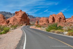 Straße im State Park