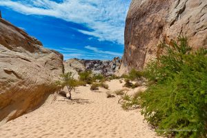 White Domes Trail