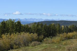 Aussichtspunkt vor den Northern Rockies