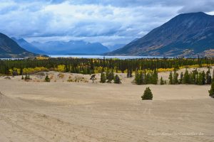 Die Wüste von Carcross