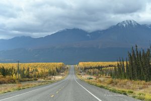 Einsamer Highway im Yukon