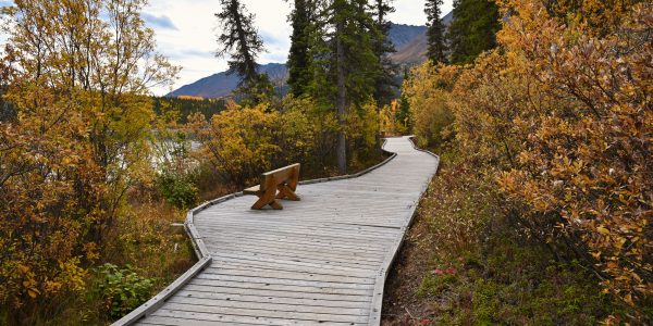 Kleiner Wanderweg am Seeufer