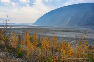 Mündung des Klondike in den Yukon