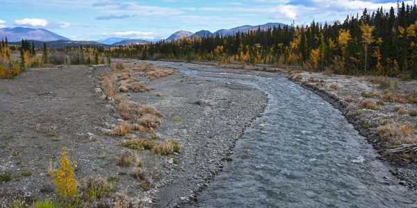 Quill Creek im Kluane Nationalpark