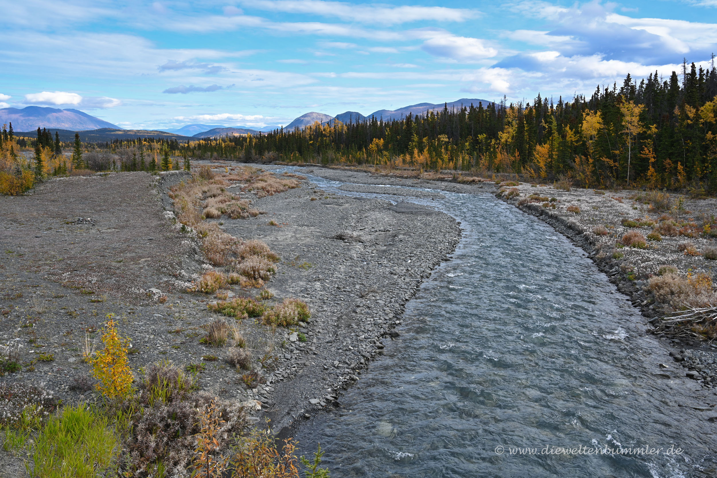 Kurzbesuch im Kluane Nationalpark in Kanada Die Weltenbummler