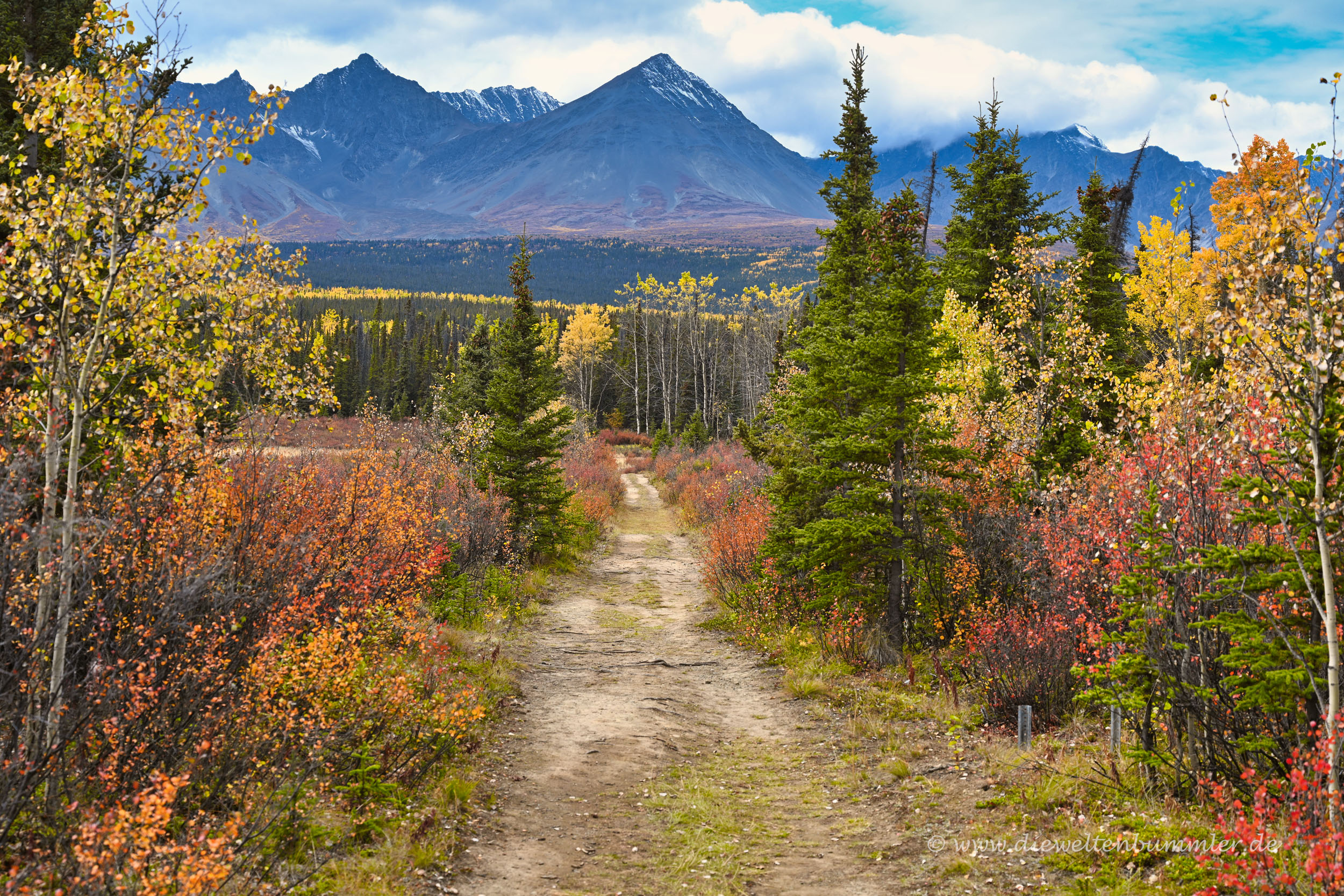 Wanderweg in die Berge