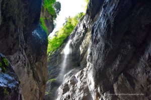Blick nach oben