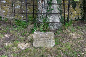 Der Baum wurde von König Georg V gepflanzt